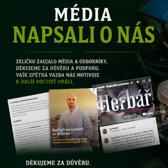 Média aneb mohli jste nás vidět!