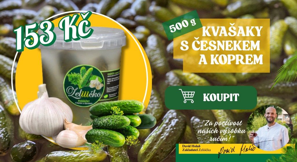 Hlavní strana