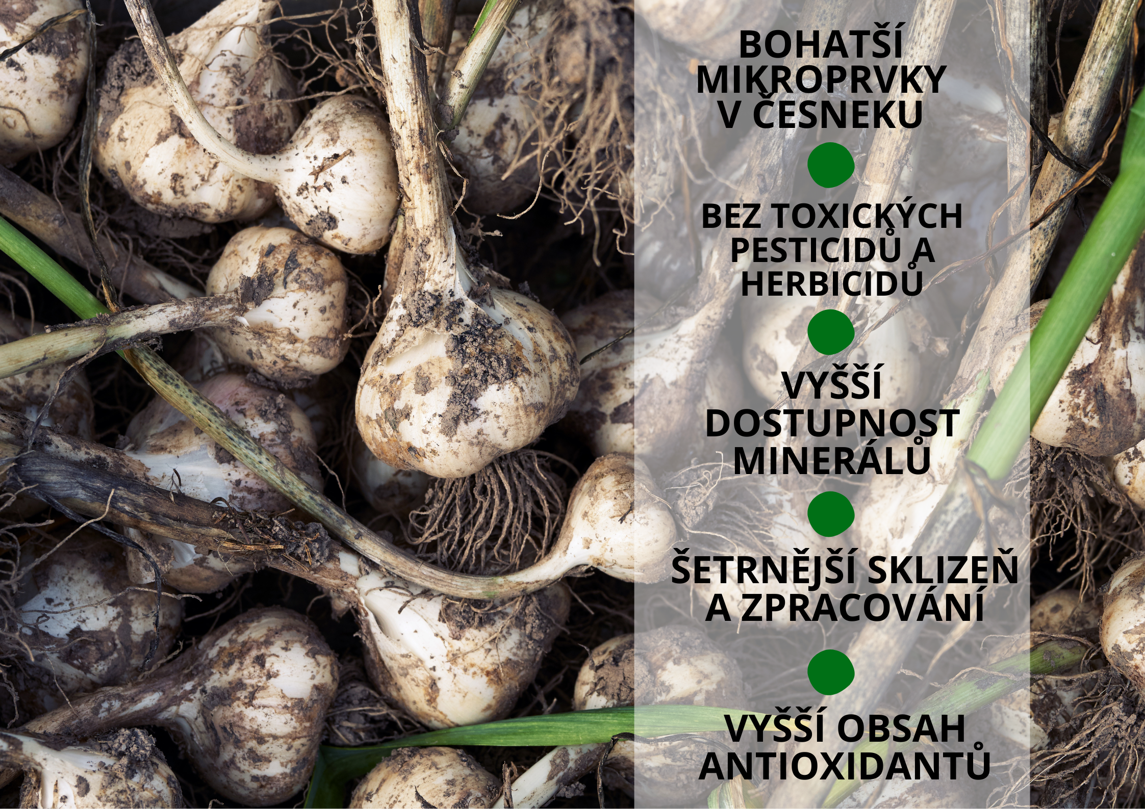 podporuje funkci štítné žlázy (16)