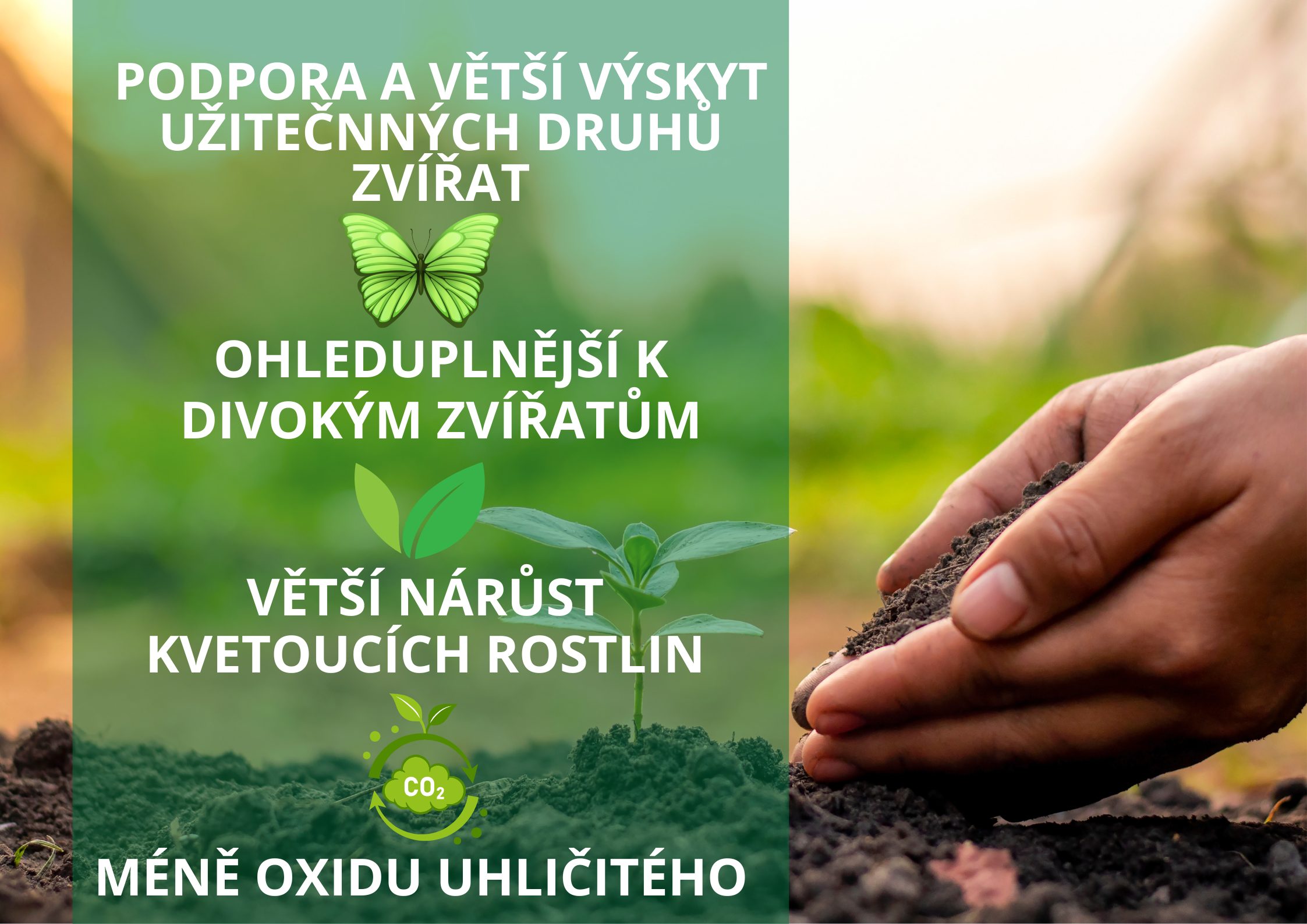 podporuje funkci štítné žlázy (12)