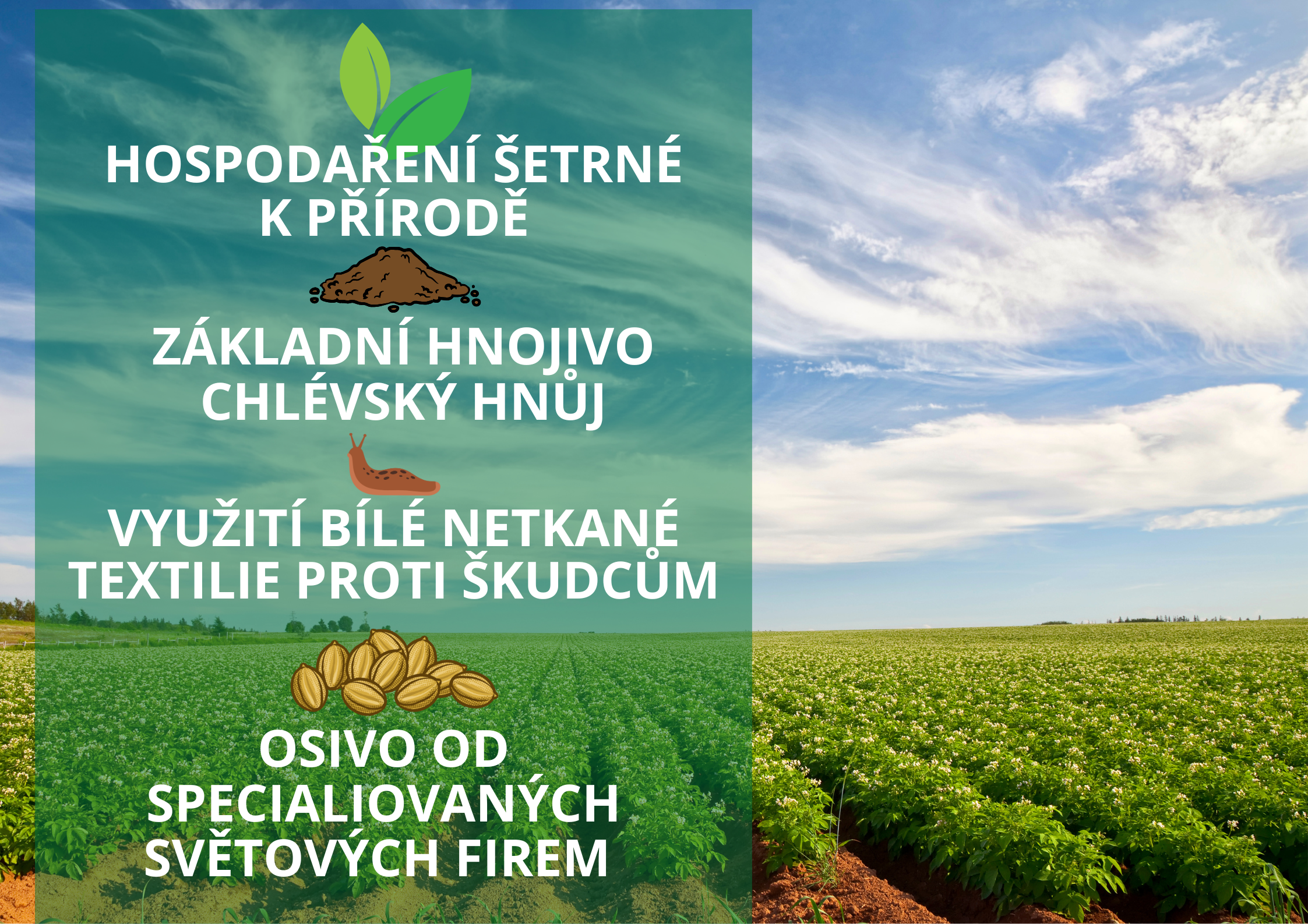 podporuje funkci štítné žlázy (13)