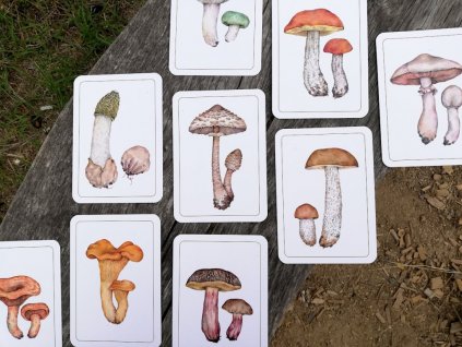 378 3 vyukove karty jedle houby priroda do kapsy 4