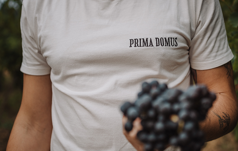 Prima Domus