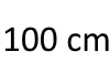 100 cm
