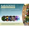 x karacsonyi led dekoraciok 001 (1)