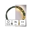 33902 emos karacsonyi led nano fuzer zold meleg feher 7.5m ip44 03