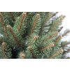 Prémium, élethű műfenyő, kaukázusi lucfenyő