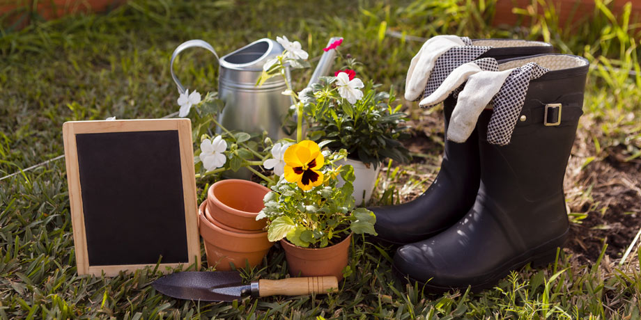 Co všechno potřebuje zahrada na jaře?