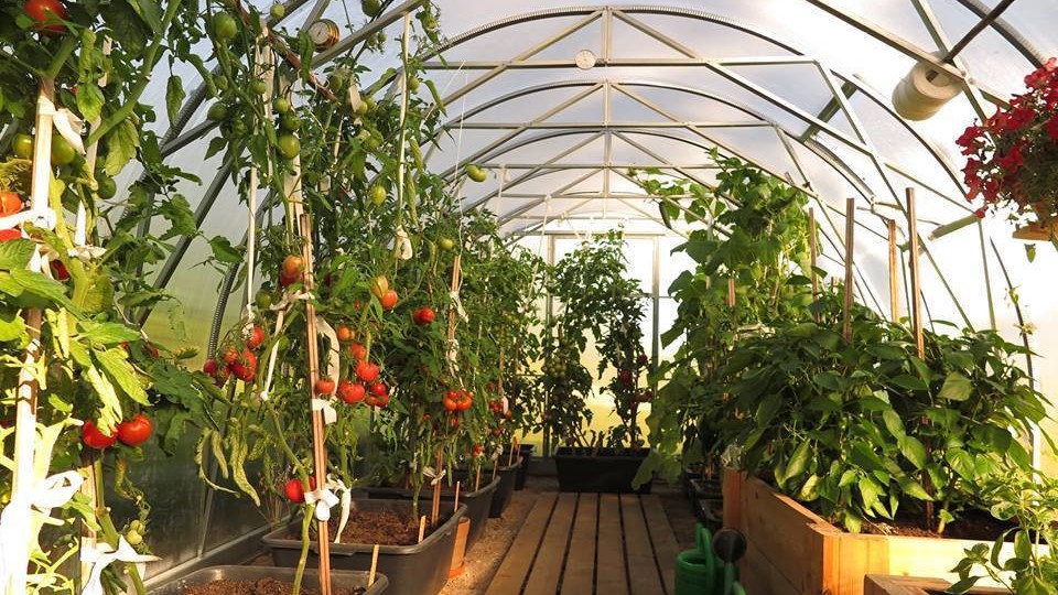 Exkluzívny skleník ECOSLIDER