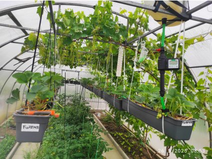 Automatická závlaha pre max. 72 rastlín