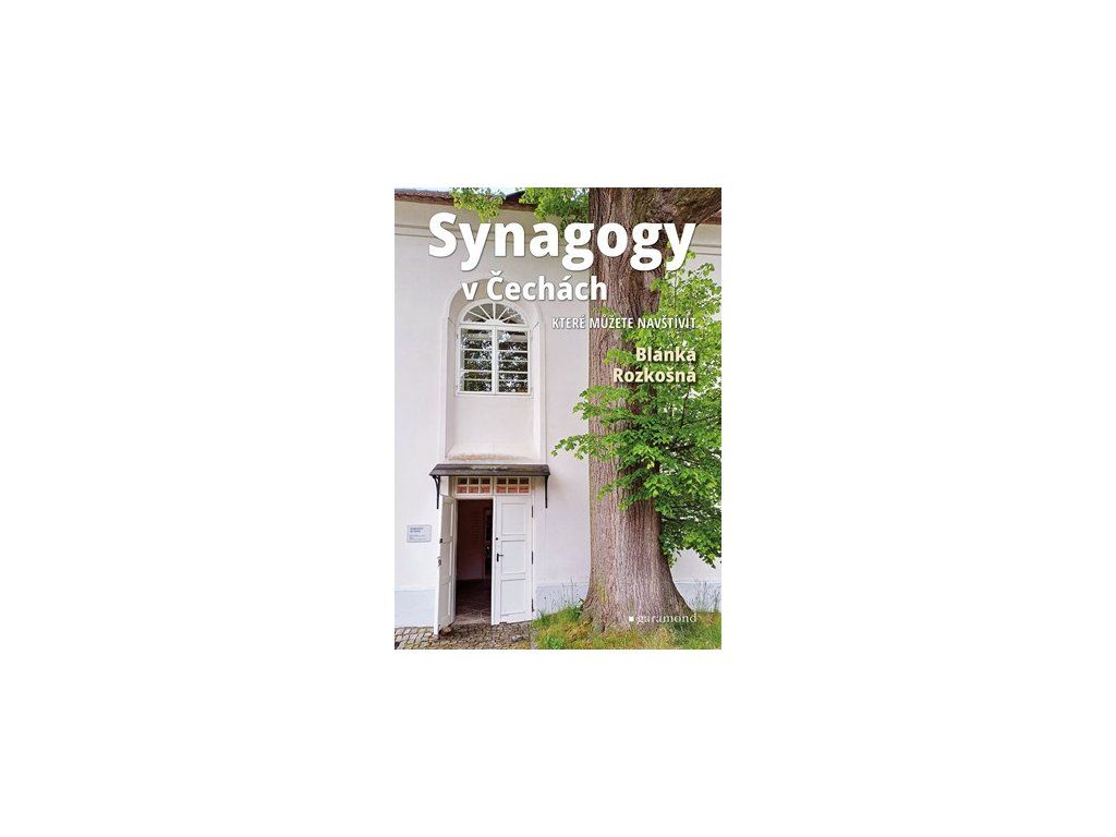 A101V0F0019448 synagogy v cechach 2d