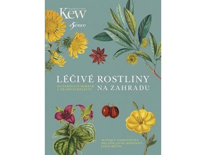 lecive rostliny na zahradu rvZ 389061