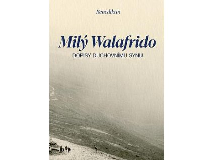 bmid mily walafrido