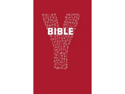 youcat bible