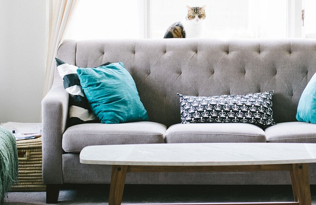 Dnes jsme spustili testovací verzi šablony Classic ONYX