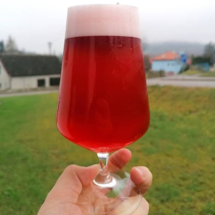 Chroust Plum & Sour Cherry Smoothie Sour 0,75