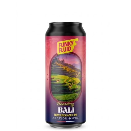 Funky Fluid Boarding: Bali 0,5 plech