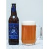 Four Elements Czech Ale 0,5l  Pale Ale