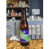 Brussels Beer Project Jungle Joy 0,33 lahev