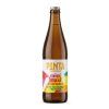 Pinta Mini maxi Tropicale 0,5 Plechovka