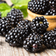 Image blackberry