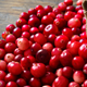 Image cranberry