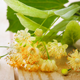 Image lindenblossom