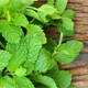 Image mint