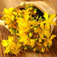 Image stjohnswort