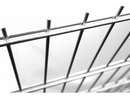 Plotový panel 2D ZN - průměr drátu 6/5/6mm oko 50x200mm Pozink