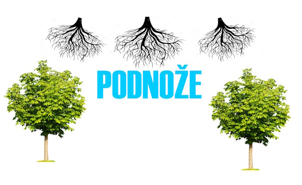 logo-podnoze
