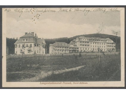 41-Olomoucko, Plicní sanatorium Passek, cca 1915