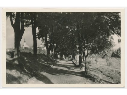 64 - Tábor, partie z parku s pohledem na město, cca 1950