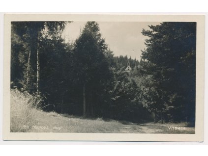 70 – Orlickoústecko, Česká Třebová, "Hory", Foto Fon, cca 1931