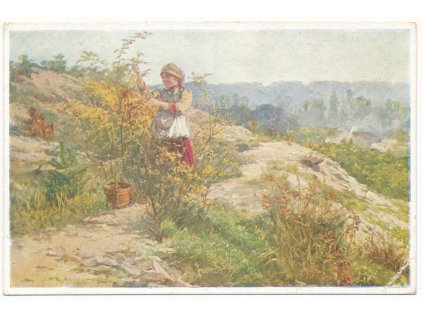 Dívka sbírá šípky, malíř V. Trsek, cca 1915