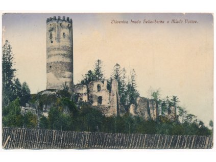 64 - Táborsko, Šellenberk - Šelmberk, zřícenina hradu u Mladé Vožice, cca 1913