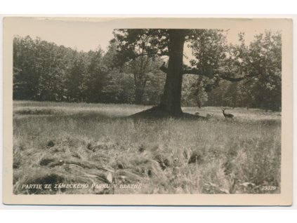 60 - Strakonicko, Blatná, partie ze zámeckého parku, cca 1945