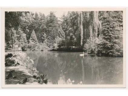 71 - Vsetínsko, Rožnov pod Radhoštěm, partie z parku s labutí, cca 1935