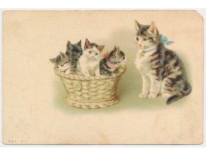 Kočka a čtyři koťátka v košíku, cca 1909