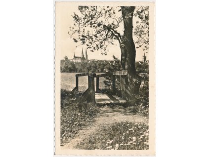 70 - Orlickoústecko, Vysoké Mýto, lesní partie s pohledem na město, cca 1945