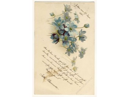 Přání s modrými květinami, ca 1900