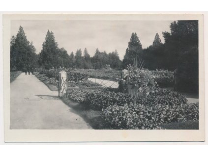 07 - Břeclavsko, Lednice, partie ze zámeckého parku, cca 1935