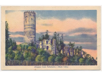 64 - Táborsko, Šellenberk - Šelmberk, zřícenina hradu u Mladé Vožice, cca 1920