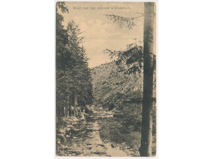 17 - Havlíčkobrodsko, Stráň nad hor. mlýnem u Chotěboře, cca 1922