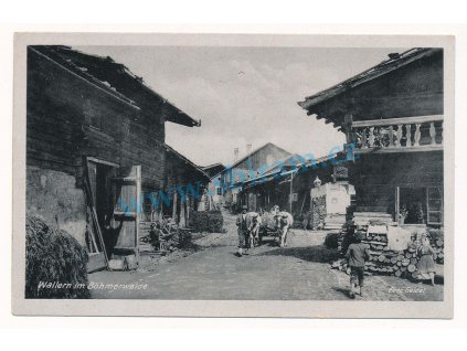 28 - Šumava, Volary, oživená Hlavní třída, neprošlá poštou, cca 1925