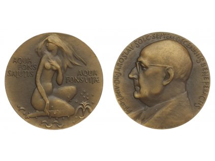 ČSSR, AE medaile Jaroslav Šolc, medailér Knobloch, průměr 60 mm, stav 1/1