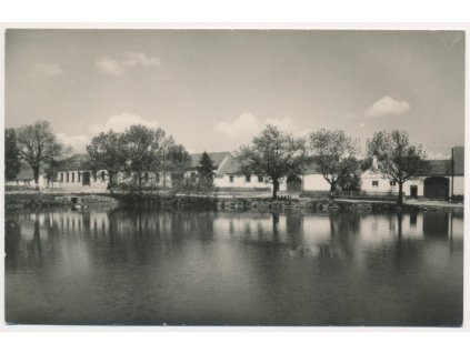 67 - Třebíčsko, Myslibořice, pohled na domy od rybníku, cca 1960