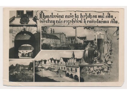 24 - Jindřichohradecko, Třeboň, "Chmelová" 4 - záběrová koláž, cca 1948
