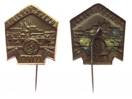 ČSR, AE pamětní odznak I. Říšský sjezd v Praze, plech, jehla, 1930