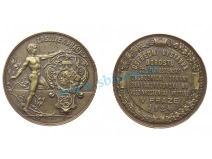 ČSR, AE medaile Za zásluhy a práci, 1924,průměr 45 mm, váha 31,2 gramu
